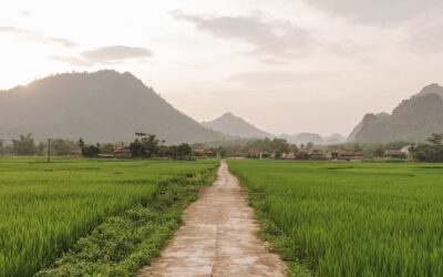 Farm to Market Roads in the Philippines: Building Better Paths for Farmers