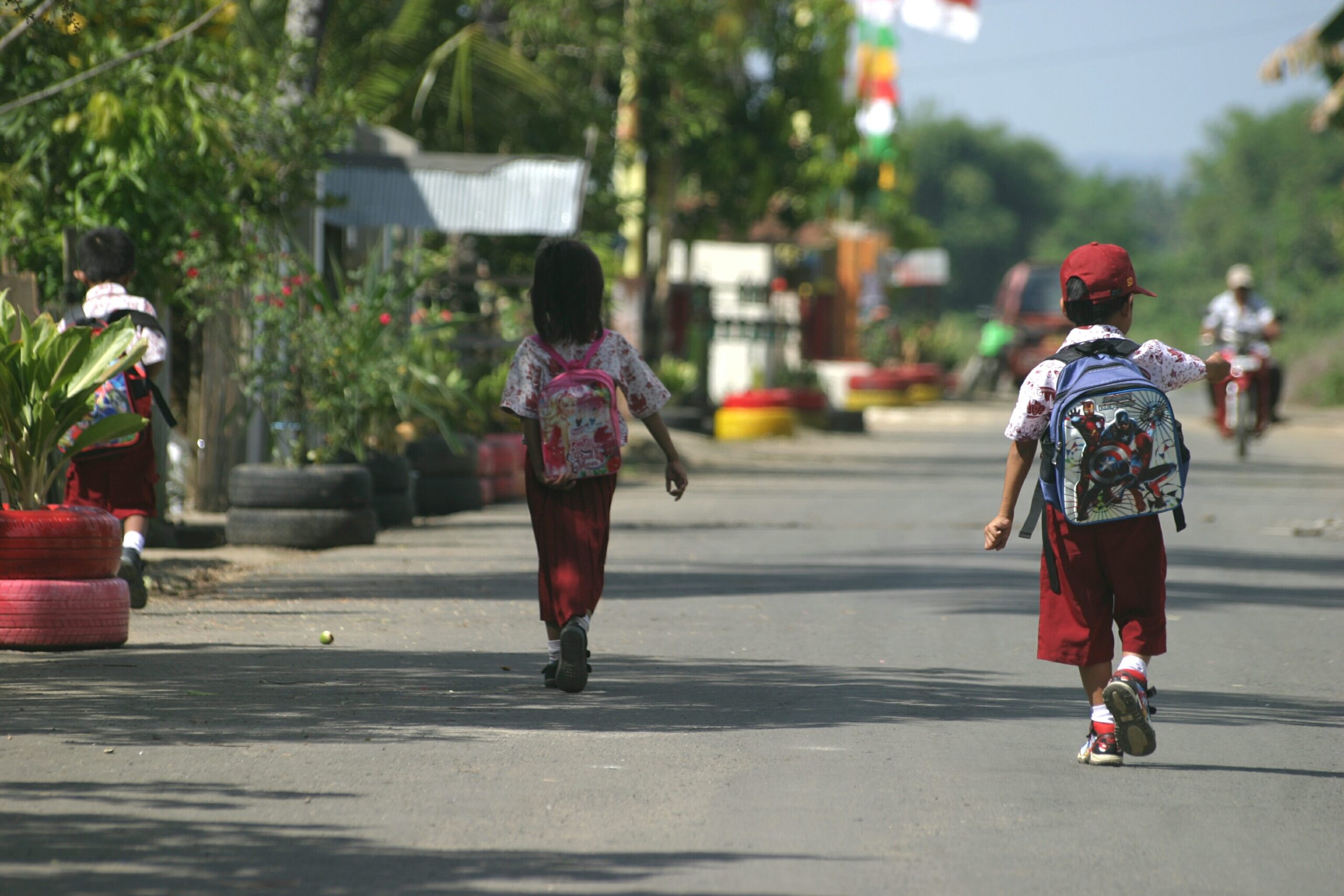 rear-view-school-boys-girls-walking-road